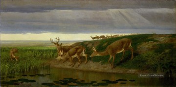 christ on the mount of olives Ölbilder verkaufen - Deer on the Prairie William Beard